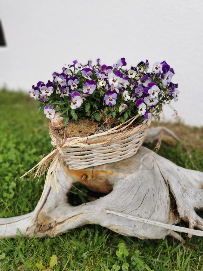 Appartamento Tgèsa Dutg Grond Sedrun Esterno foto