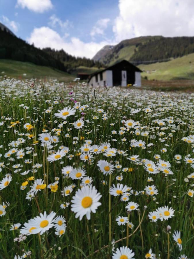 Appartamento Tgèsa Dutg Grond Sedrun Esterno foto