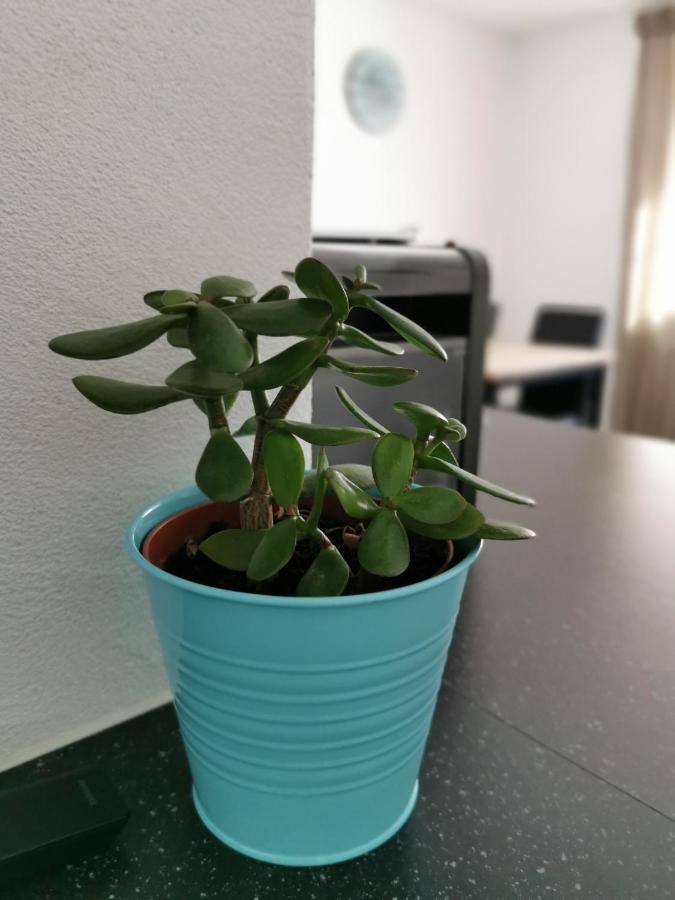 Appartamento Tgèsa Dutg Grond Sedrun Esterno foto