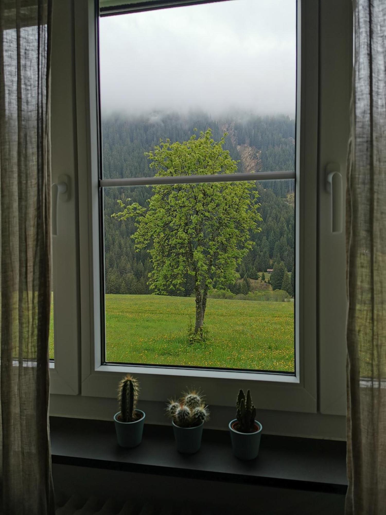Appartamento Tgèsa Dutg Grond Sedrun Esterno foto